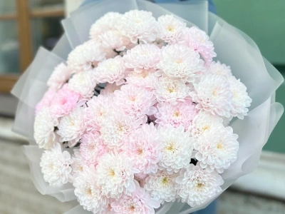 Нежный букет из 11 хризантем