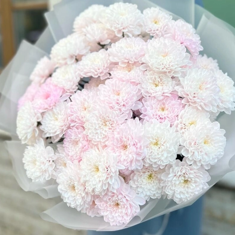 Нежный букет из 11 хризантем