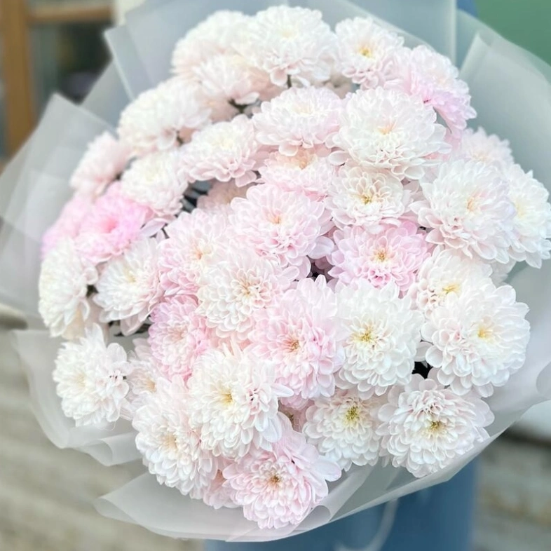 Нежный букет из 11 хризантем