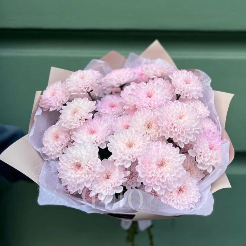 Букет из 5 розовых хризантем