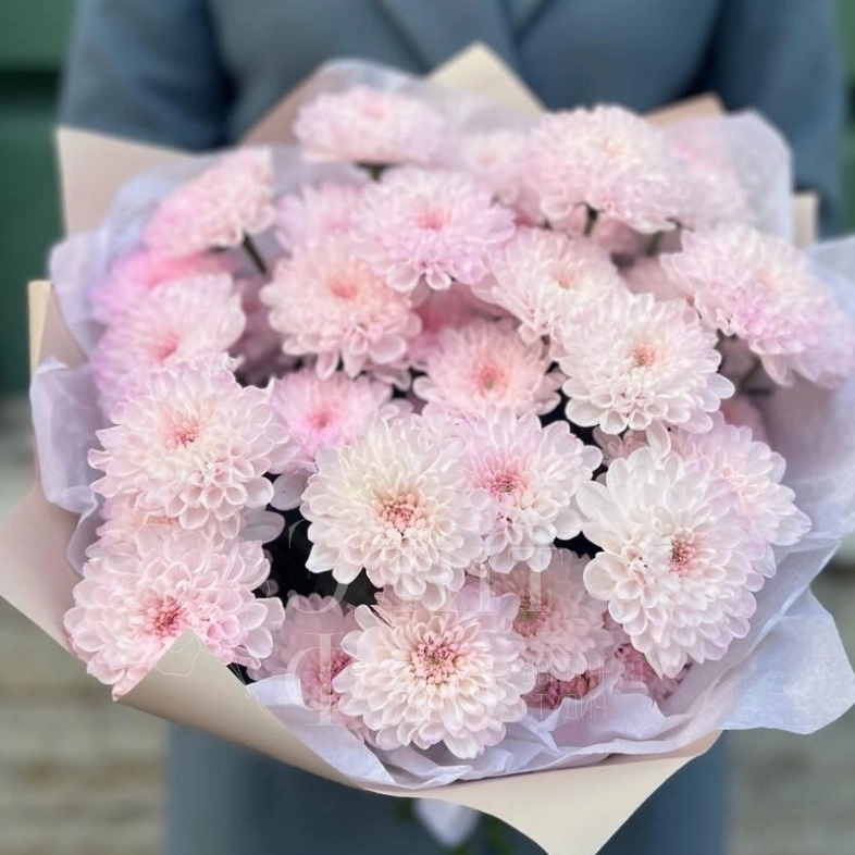 Букет из 5 розовых хризантем