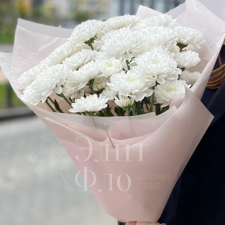Белые хризантемы в матовом оформлении