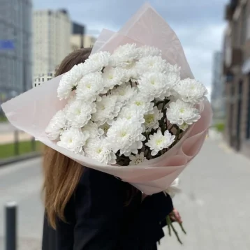 Белые хризантемы в матовом оформлении