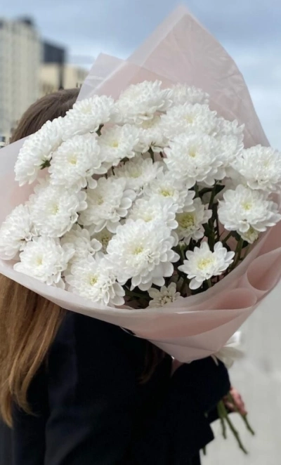 Белые хризантемы в матовом оформлении