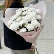 Белые хризантемы в матовом оформлении 1