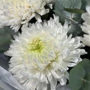 Букет из 3 одиночных хризантем 3