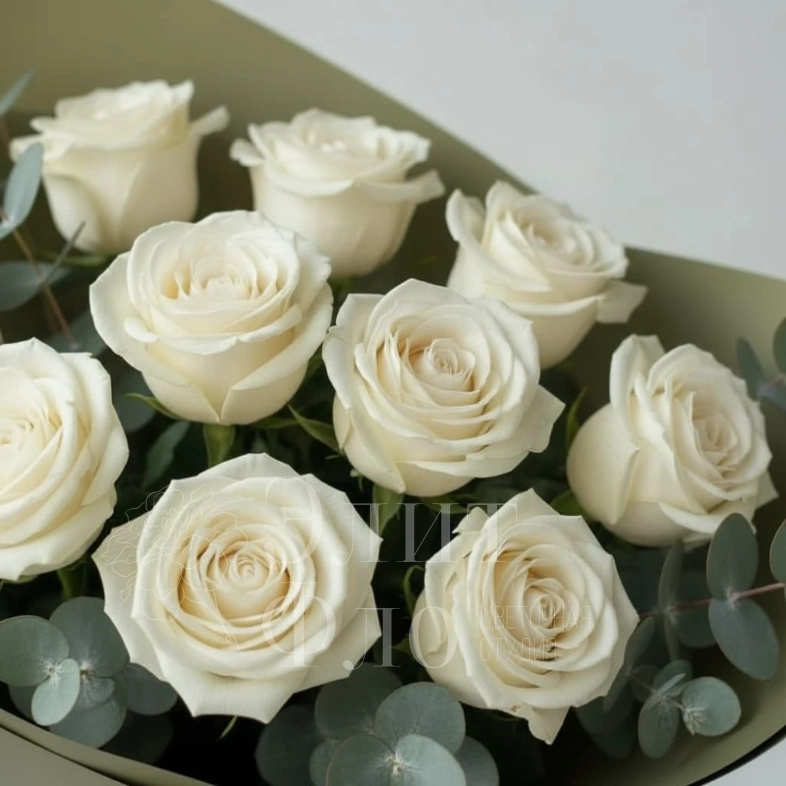 Букет из 11 белых роз в оливковой упаковке 