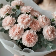 Букет из 15 розовых диантусов и эвкалипта  3
