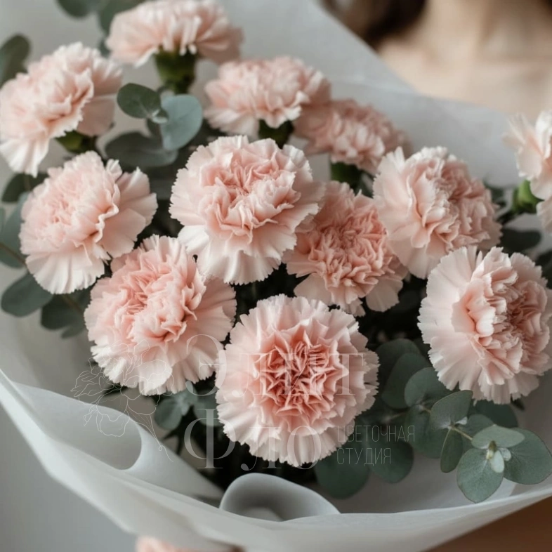Букет из 15 розовых диантусов и эвкалипта 
