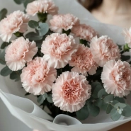 Букет из 13 розовых диантусов и эвкалипта 3