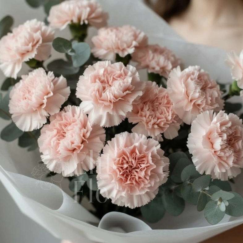 Букет из 13 розовых диантусов и эвкалипта