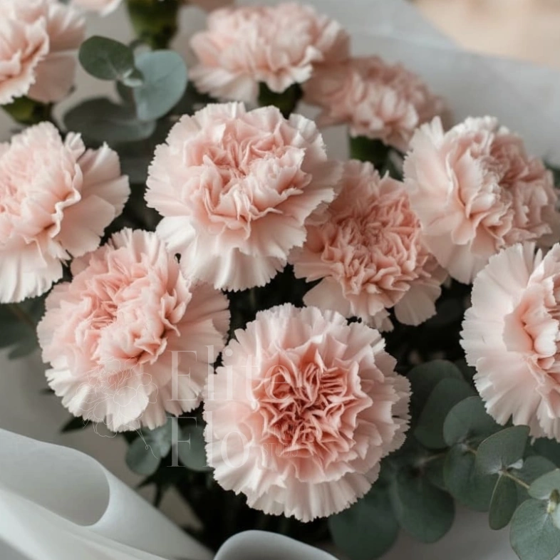 Букет из 13 розовых диантусов и эвкалипта