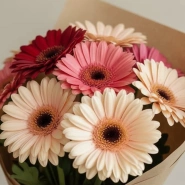 Букет из 9 ярких гербер 3