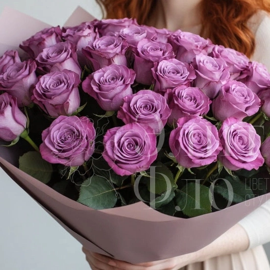 Лавандовые грезы