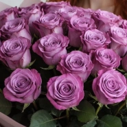 Лавандовые грезы 3