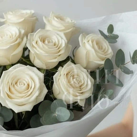 Белые розы Elegance