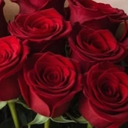 Малиновый шик 4