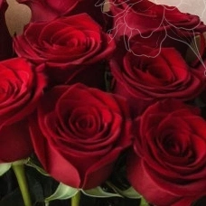 Малиновый шик