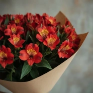 Огненные Альстромерии 4