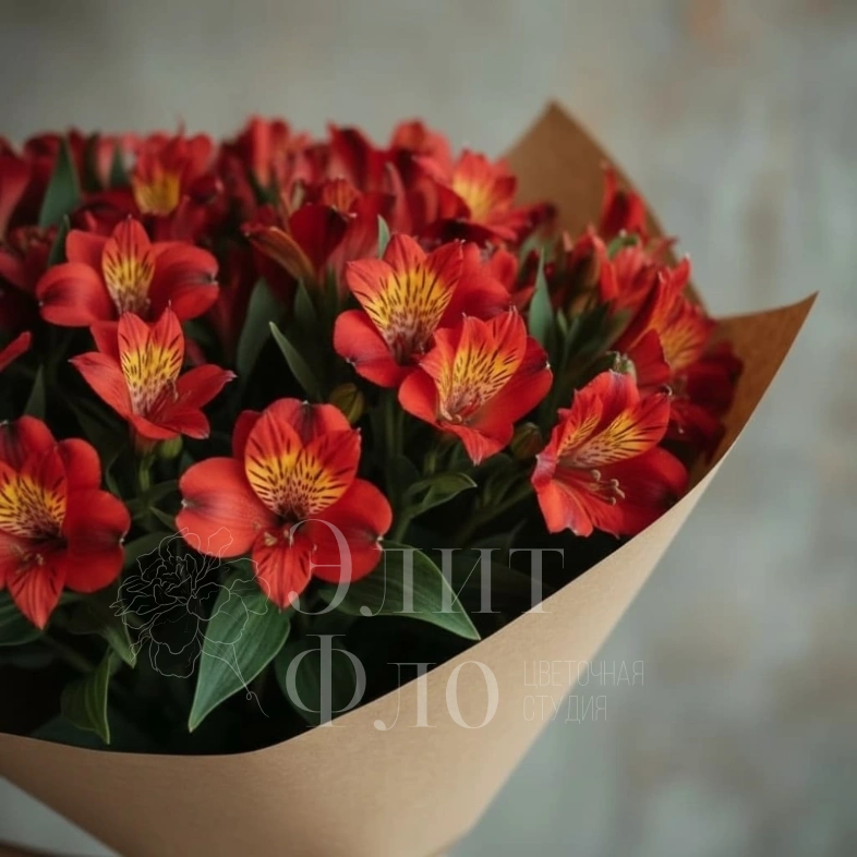 Огненные Альстромерии