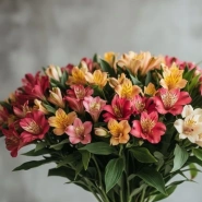 Подарочный Перуанский букет 3