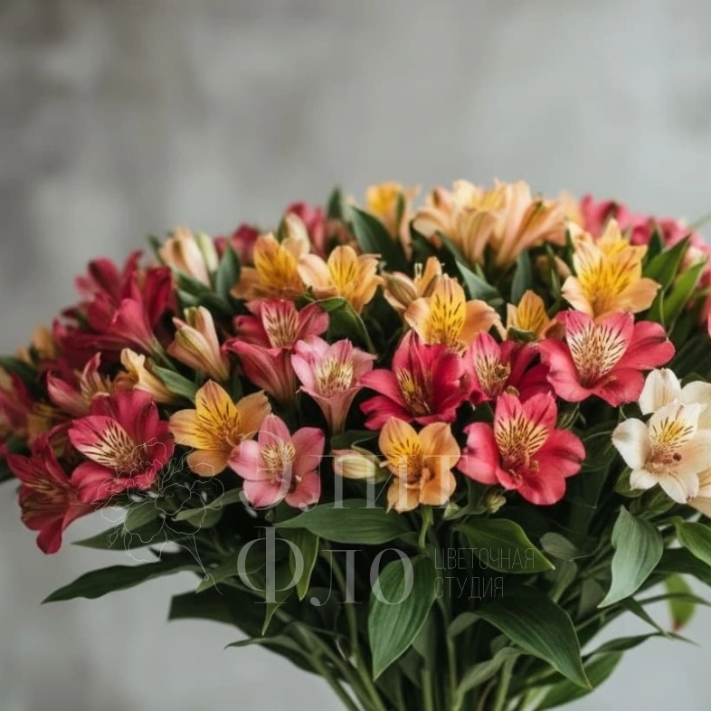 Подарочный Перуанский букет