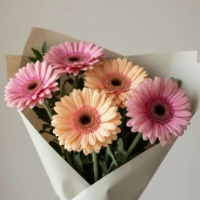 Герберовое настроение 3