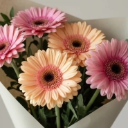 Герберовое настроение 4