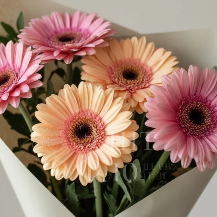 Герберовое настроение