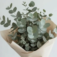 Эвкалиптовая свежесть 3