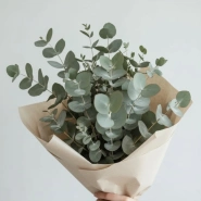 Эвкалиптовая свежесть 4