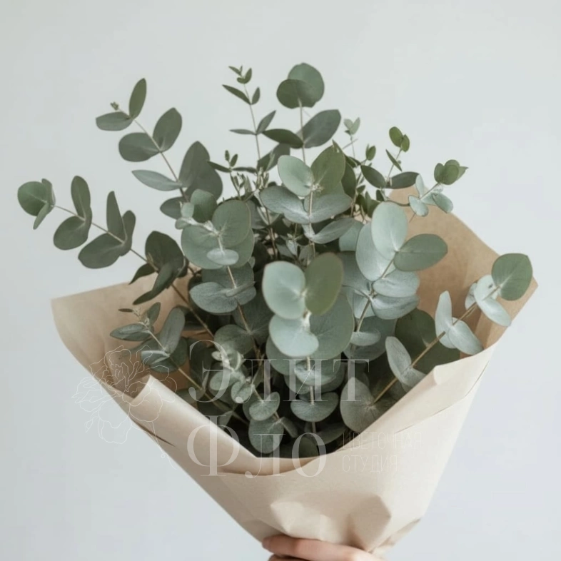 Эвкалиптовая свежесть