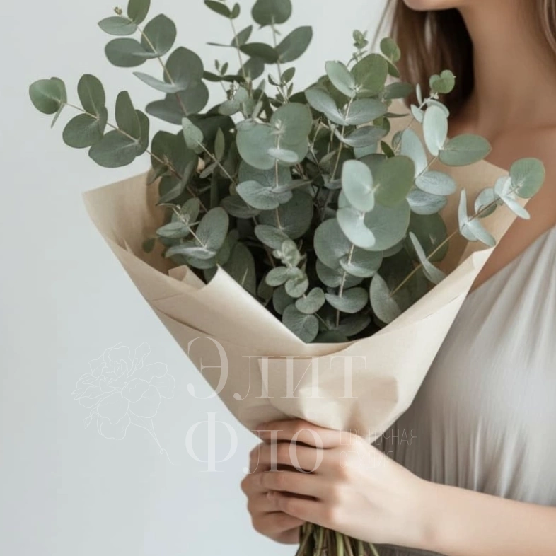 Эвкалиптовая свежесть