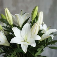 Белые лилии 5штук 3