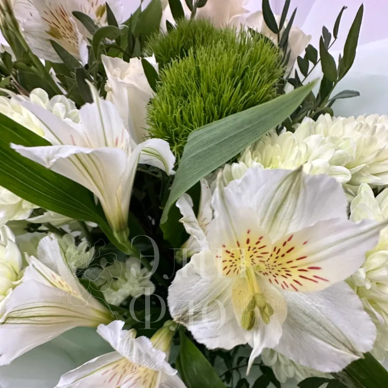 Нежное пробуждение