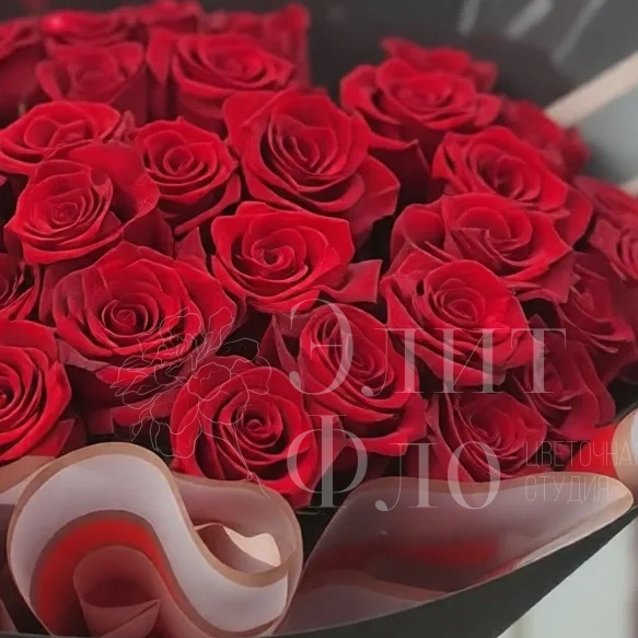 Букет-Гигант из эквадорских роз