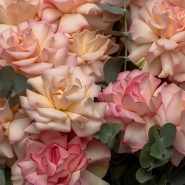 Огромный букет из французских роз и эвкалипта 3