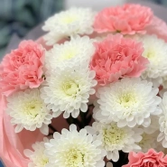 Нежный комплимент 2