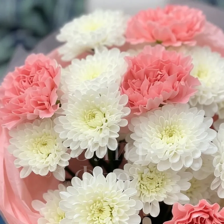 Нежный комплимент