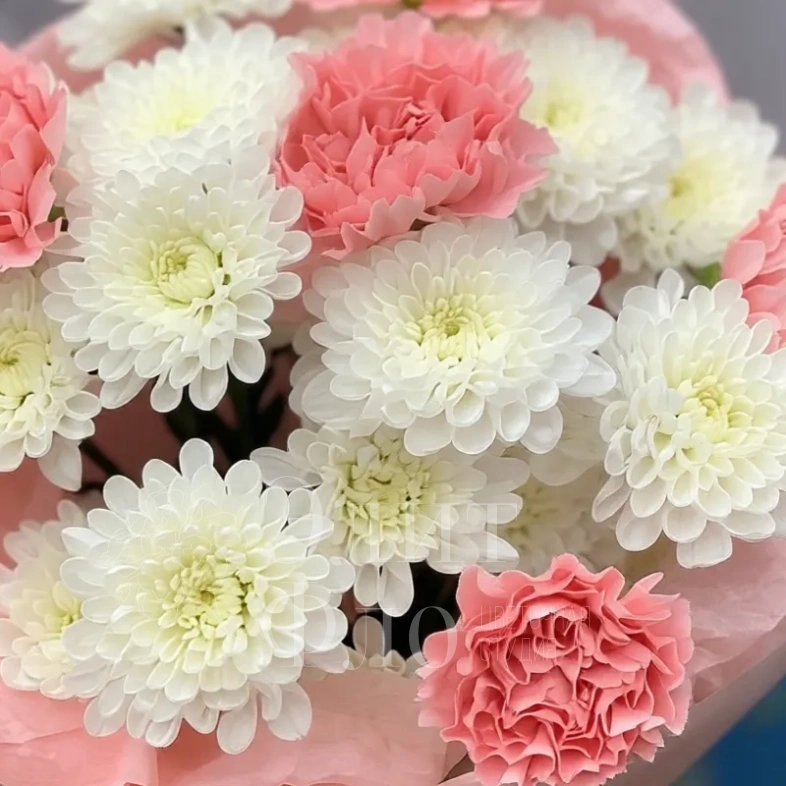 Нежный комплимент