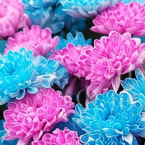 Огромный букет хризантем