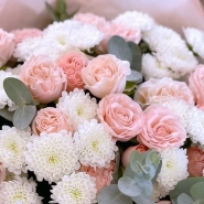 Свежее утро  3