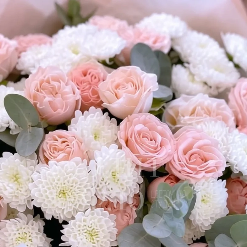 Свежее утро 