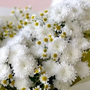 Эффктный полевой букет 1