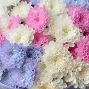 Нежный букет из кустовых 15 хризантем  3