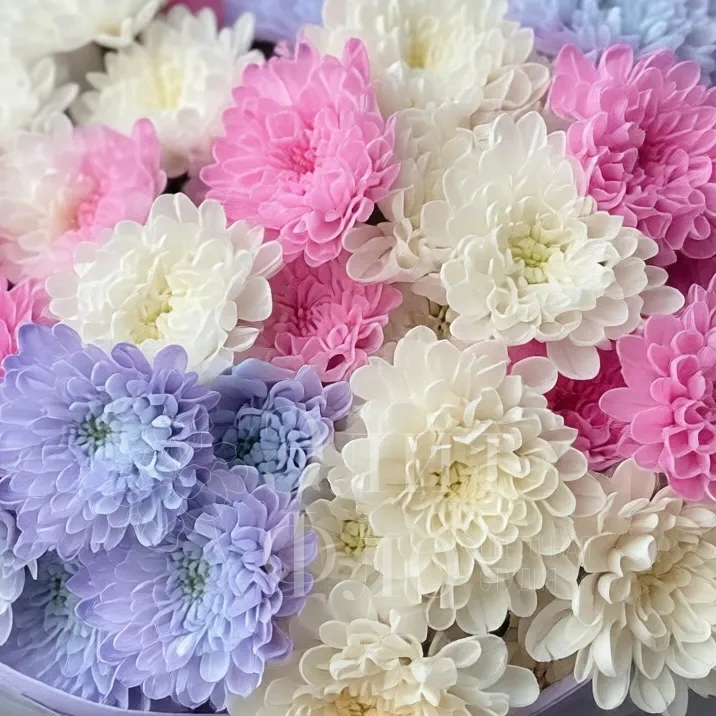 Нежный букет из кустовых 15 хризантем 