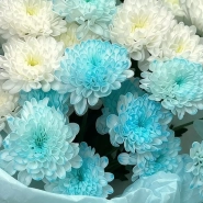 Букет из 5 кустовых хоизантем 4