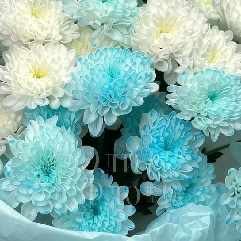 Букет из 5 кустовых хоизантем