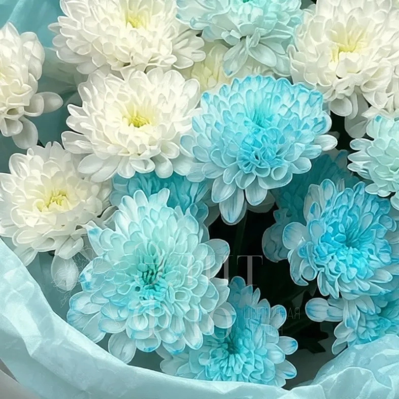 Букет из 5 кустовых хоизантем