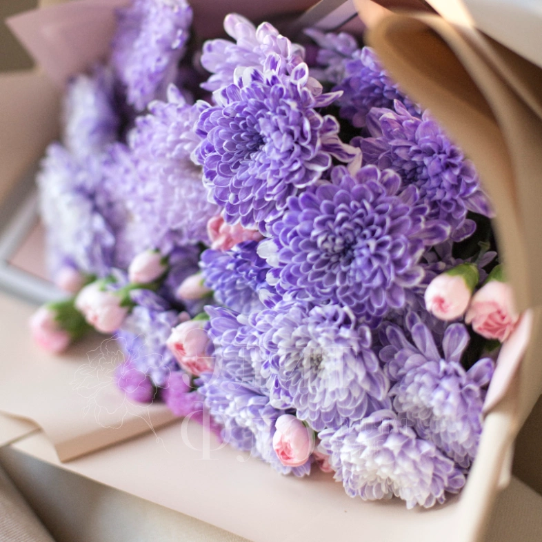 Сиреневое настроение